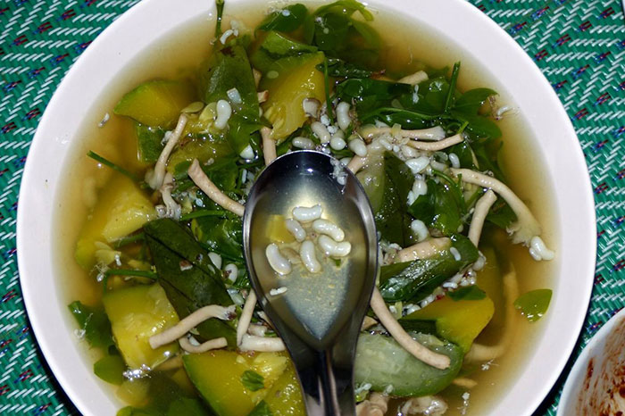 cuisine laotienne atypique soupe fourmis blanches
